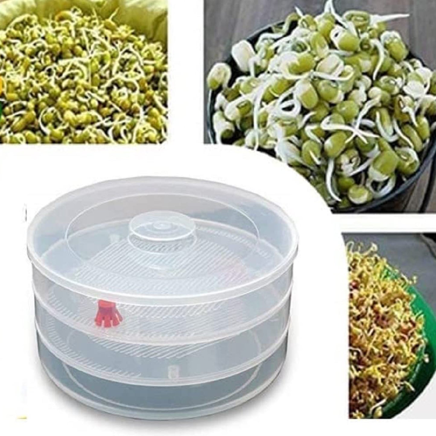 Miracle Plastic Healthy Hygienic Sprout Maker With 3 Compartments For Home Kitchen (1 Pc)