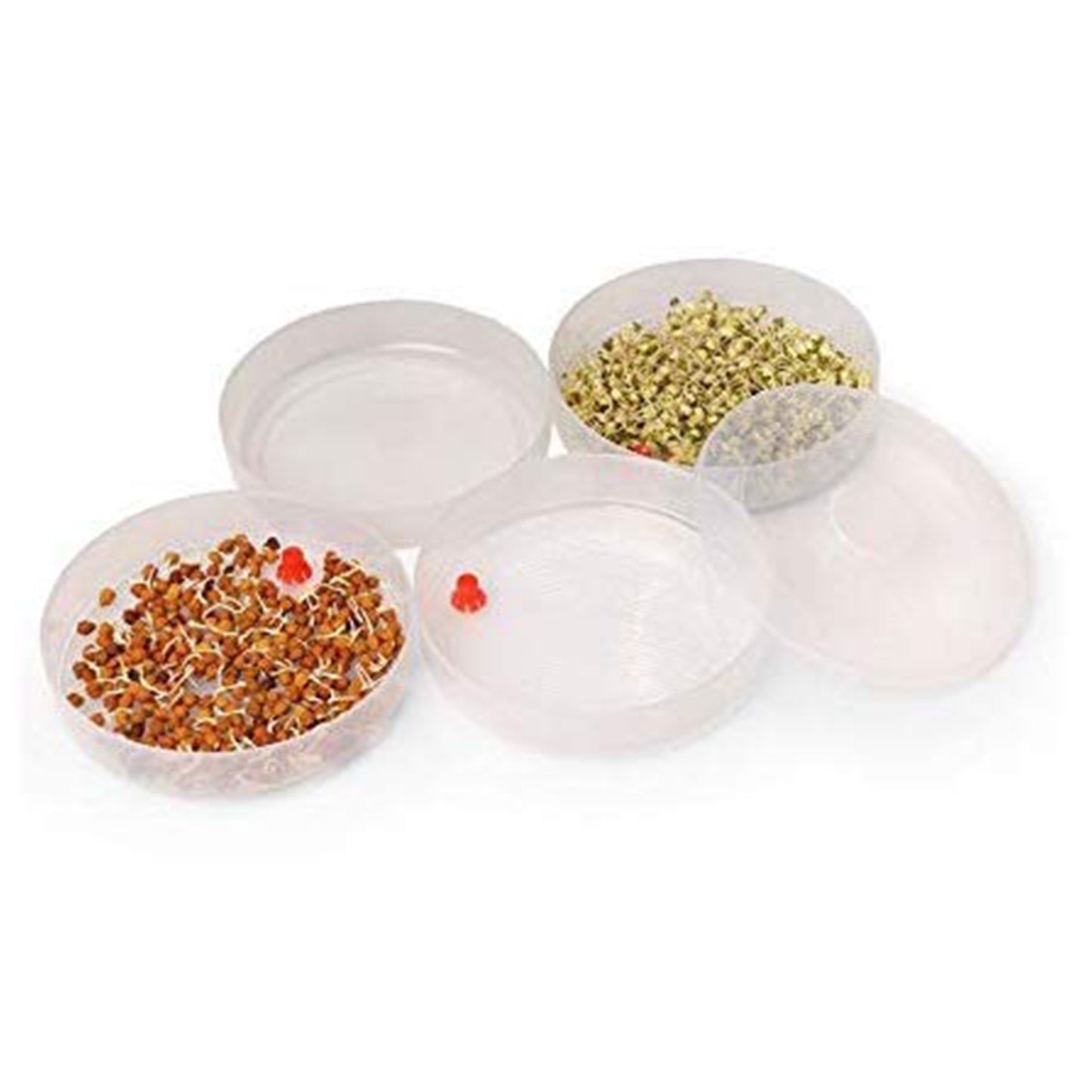 Miracle Plastic Healthy Hygienic Sprout Maker With 3 Compartments For Home Kitchen (1 Pc)